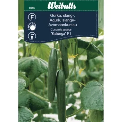 Discount Weibulls Agurk drivhus 'Kalanga F1'
