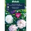 Sale Weibulls Asters lav sommer