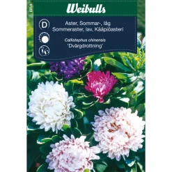 Sale Weibulls Asters lav sommer