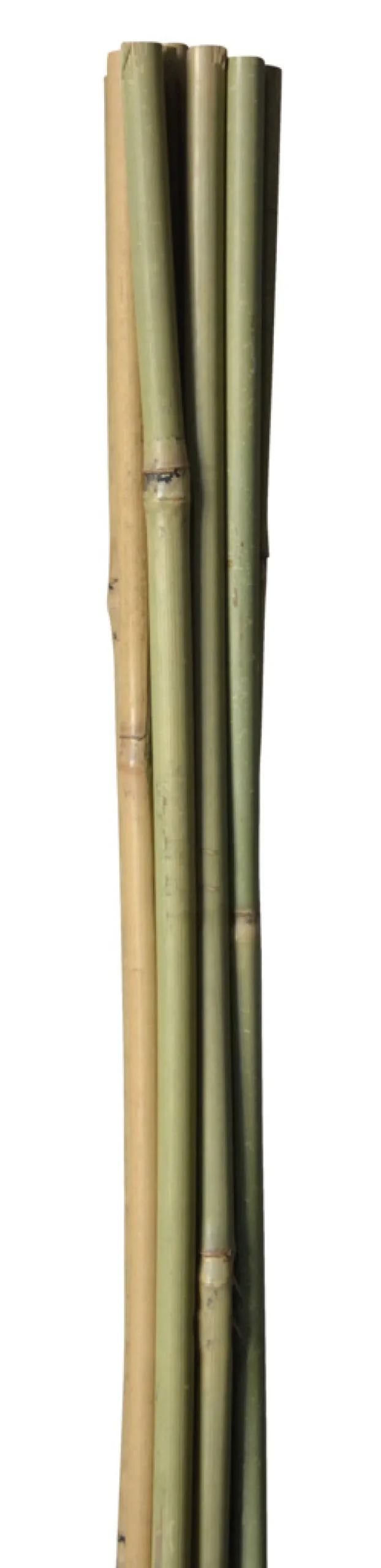 Online Home it Bambuspinne 150 cm 4 stk.