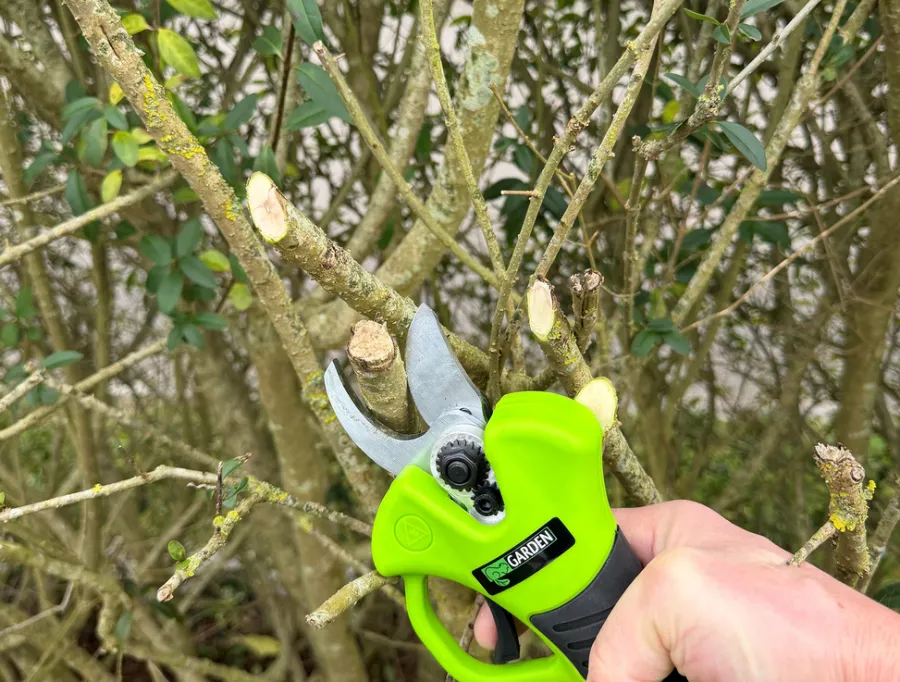 New Garden Beskjæringssaks oppladbar 21 V 2,0 Ah – ®