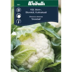 Outlet Weibulls Blomkål 'Snowball'