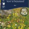 Hot Weibulls Blomstereng blanding big pack
