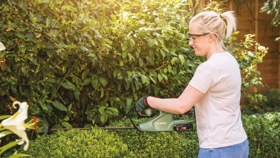 Online Bosch EasyHedgeCut 18-45 hekksaks 18 V 2,0 Ah
