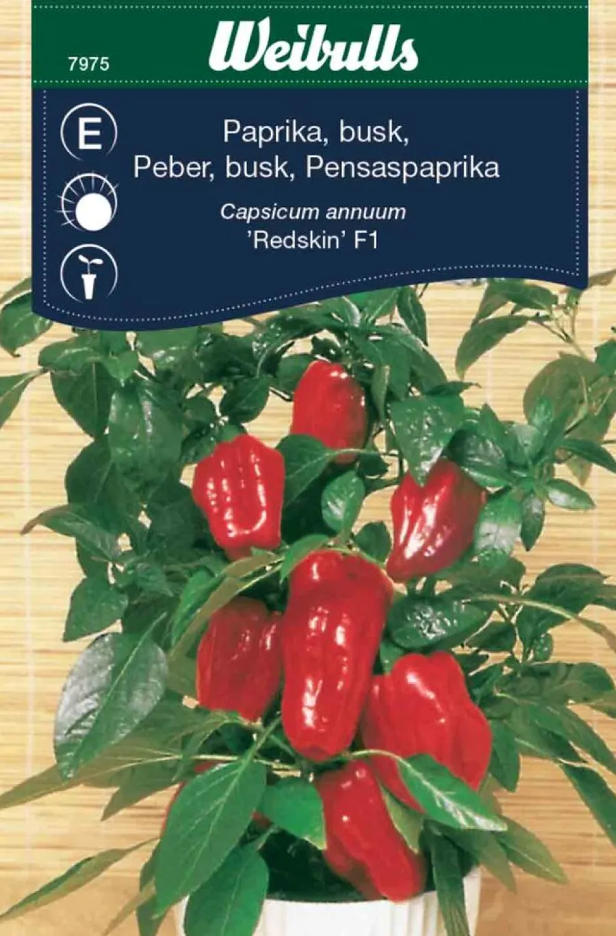 Outlet Weibulls Buskpaprika "Redskin" F1