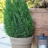 Sale Scan-Pot Calima potte jord Ø31 x H27 cm