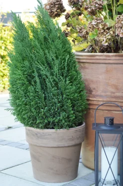 Sale Scan-Pot Calima potte jord Ø31 x H27 cm