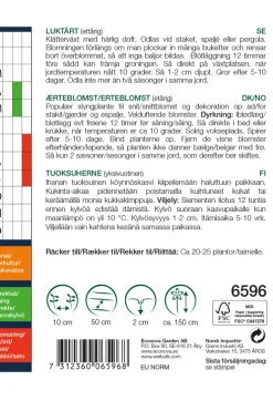 Discount Weibulls Erteblomst 'Old Spice Mixed'