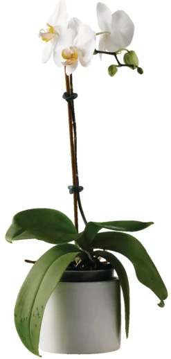 Online Garden Fleksibel line 5 meter - ®