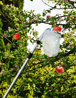 Best Garden Fruktplukker med beholder - ®