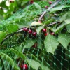 New Garden Fuglenett 2 x 5 meter - ®