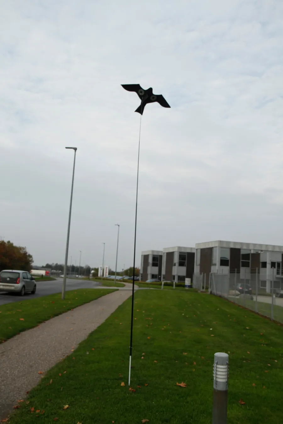 Discount Fugleskremsel drage