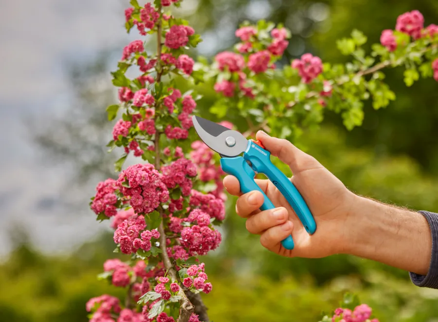 Best Gardena beskjæringssaks EasyCut