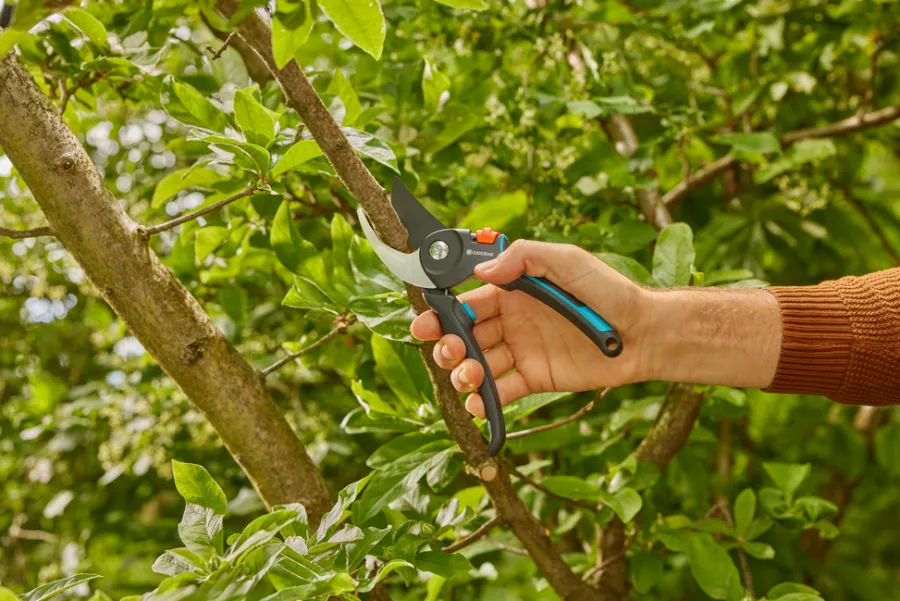 Online Gardena beskjæringssaks PremiumCut Pro