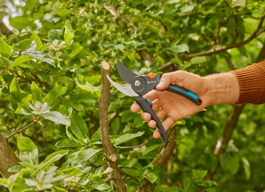 Online Gardena beskjæringssaks PremiumCut Pro
