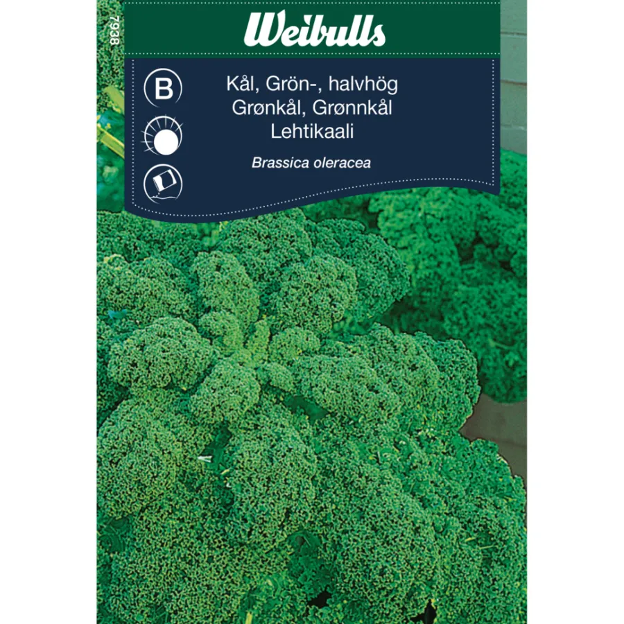 Weibulls Grønnkål 'Westlandse Herfst'