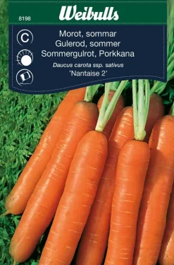 Outlet Weibulls Gulrot, sommer 'Nantaise 2'