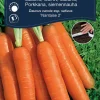 Online Weibulls Gulrot, sommer 'Nantaise 2'