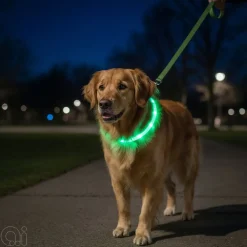 New Petzone Halsbånd med LED grønn 20-60 cm