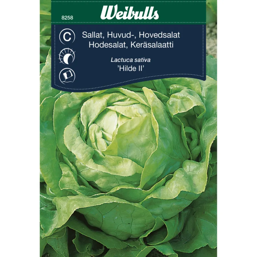 Outlet Weibulls Hodesalat 'Hilde II'