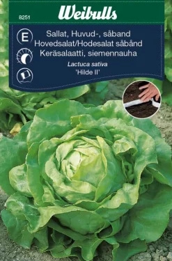 Outlet Weibulls Hodesalat (såbånd) - Attraction