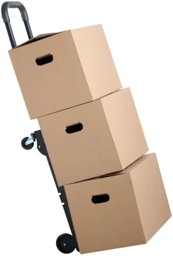 New Probuilder 2-i-1 transportvogn -