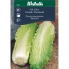 New Weibulls Kinakål 'Michihili'