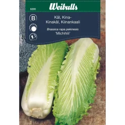 New Weibulls Kinakål 'Michihili'