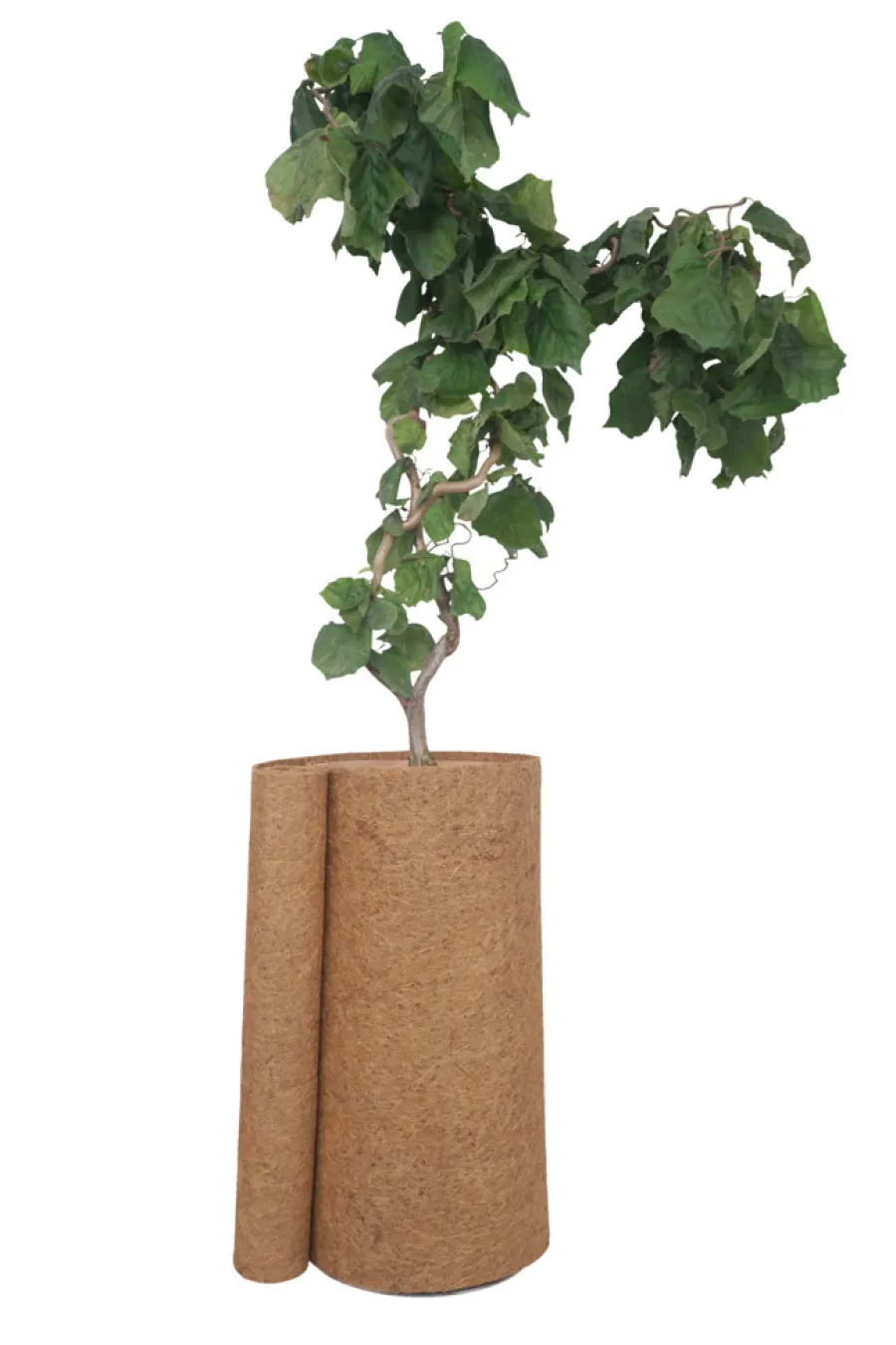 Outlet Garden Kokosmatte 50 x 150 cm - ®