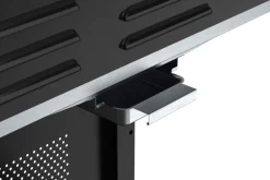 Outlet Grillexpert Kombigrill til gass og kull - ® Svart