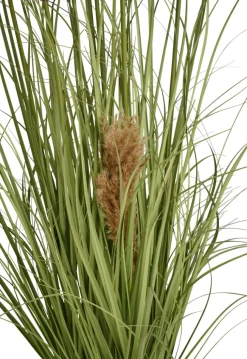 Clearance Kunstgress med ekte pampas 120 cm