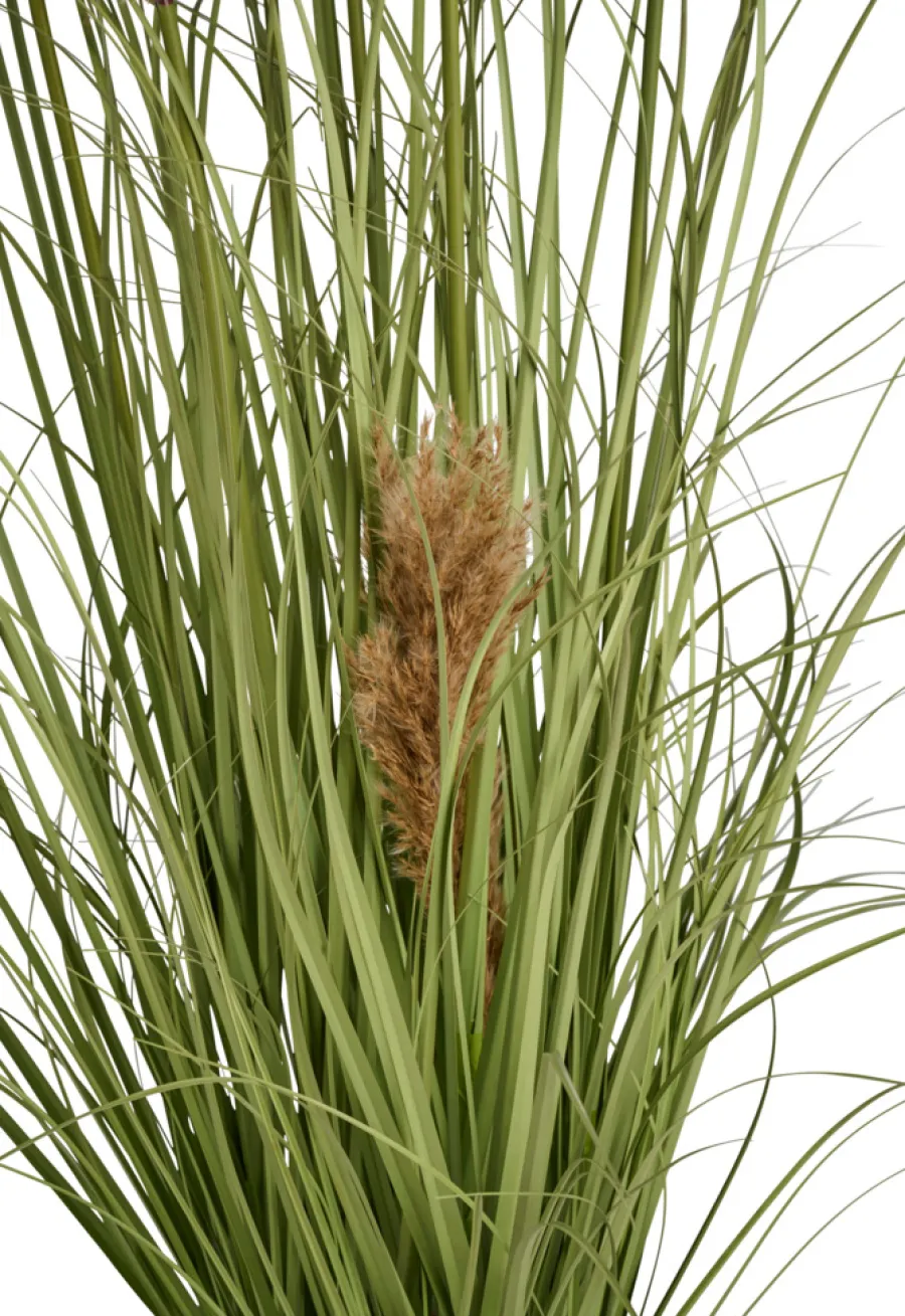 Clearance Kunstgress med ekte pampas 120 cm