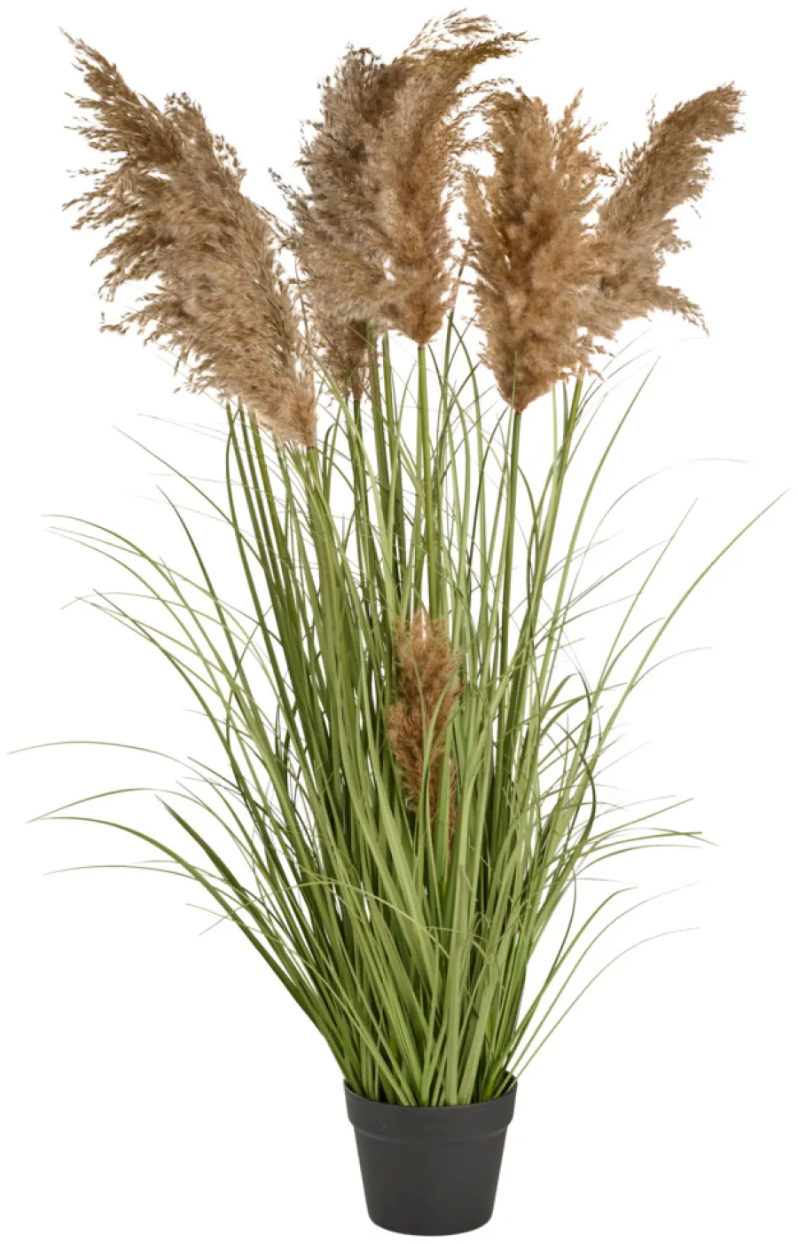 Clearance Kunstgress med ekte pampas 120 cm