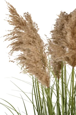 Clearance Kunstgress med ekte pampas 120 cm