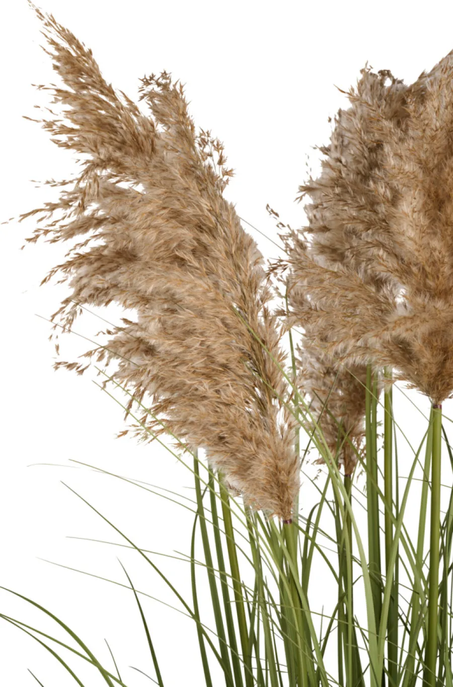 Clearance Kunstgress med ekte pampas 120 cm