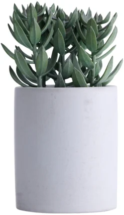 Hot Kunstig plante tetragona H19 cm Grå og grønn