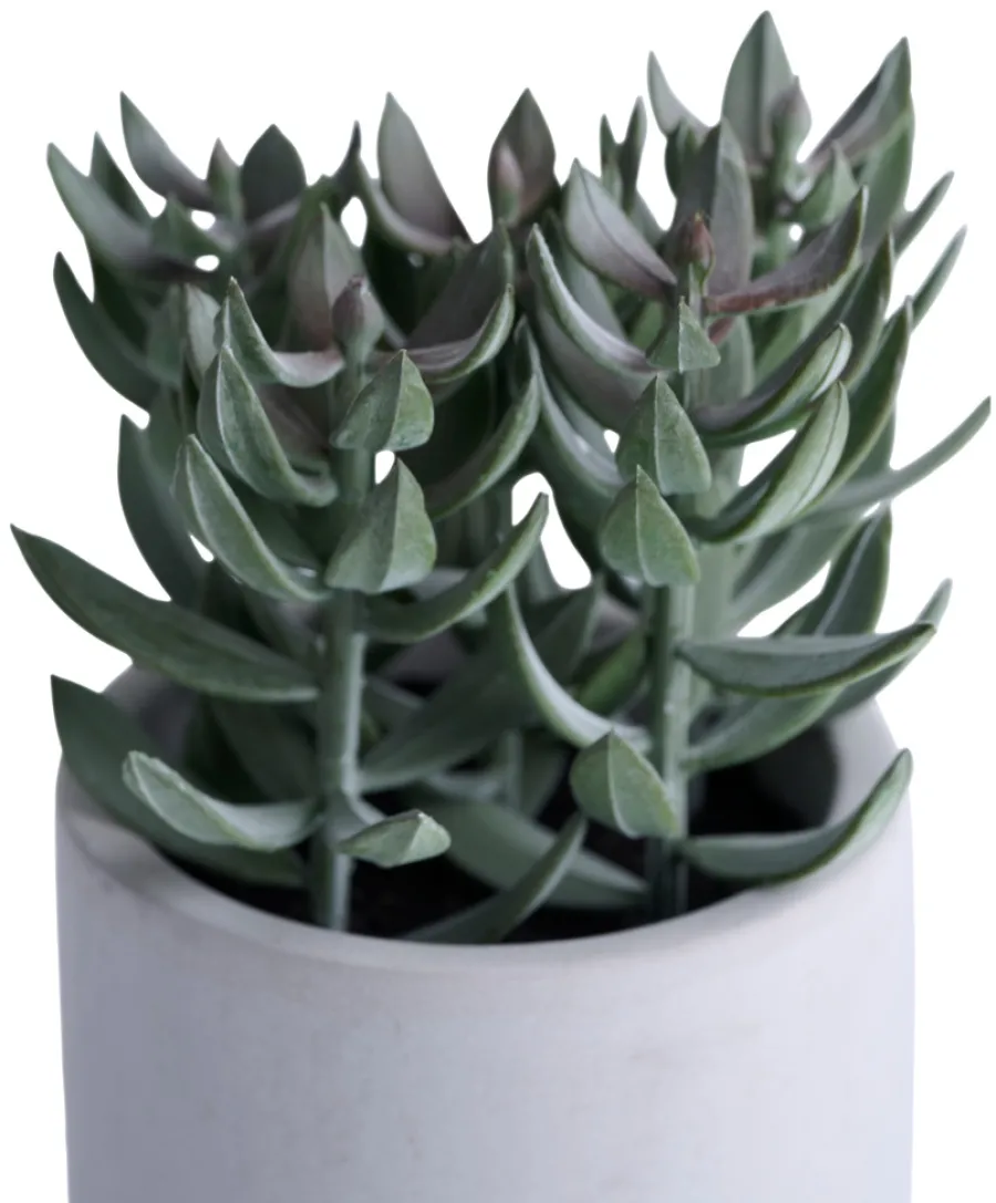 Hot Kunstig plante tetragona H19 cm Grå og grønn