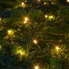 Clearance Stemning Lysslynge m/timer 100 LED-pærer 9,9 meter
