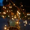 Best Stemning Lysslynge m/timer 40 LED-pærer 1,9 meter