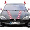 Online Festplassen 17. mai bilsett med flagg