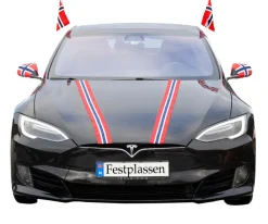 Online Festplassen 17. mai bilsett med flagg
