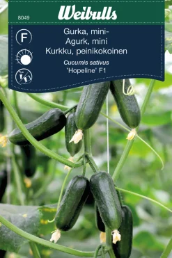 Clearance Weibulls Miniagurk, 'Hopeline F1'