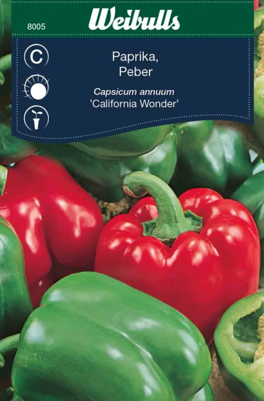 Hot Weibulls Paprika "California Wonder"