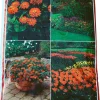New Plantejord 40 liter