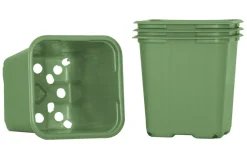 Sale Weibulls Plantepotter 8 cm - 20 stk. Grønn