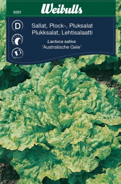 Online Weibulls Plukksalat "Australische Gele"