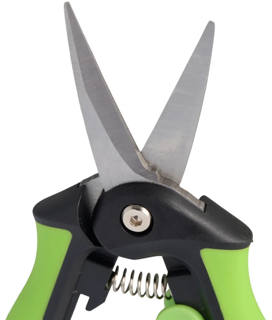 Clearance Garden Presisjonssaks - ®