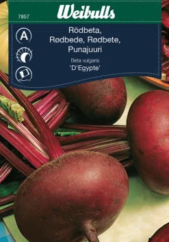 Discount Weibulls Rødbeter 'D'Egypte'