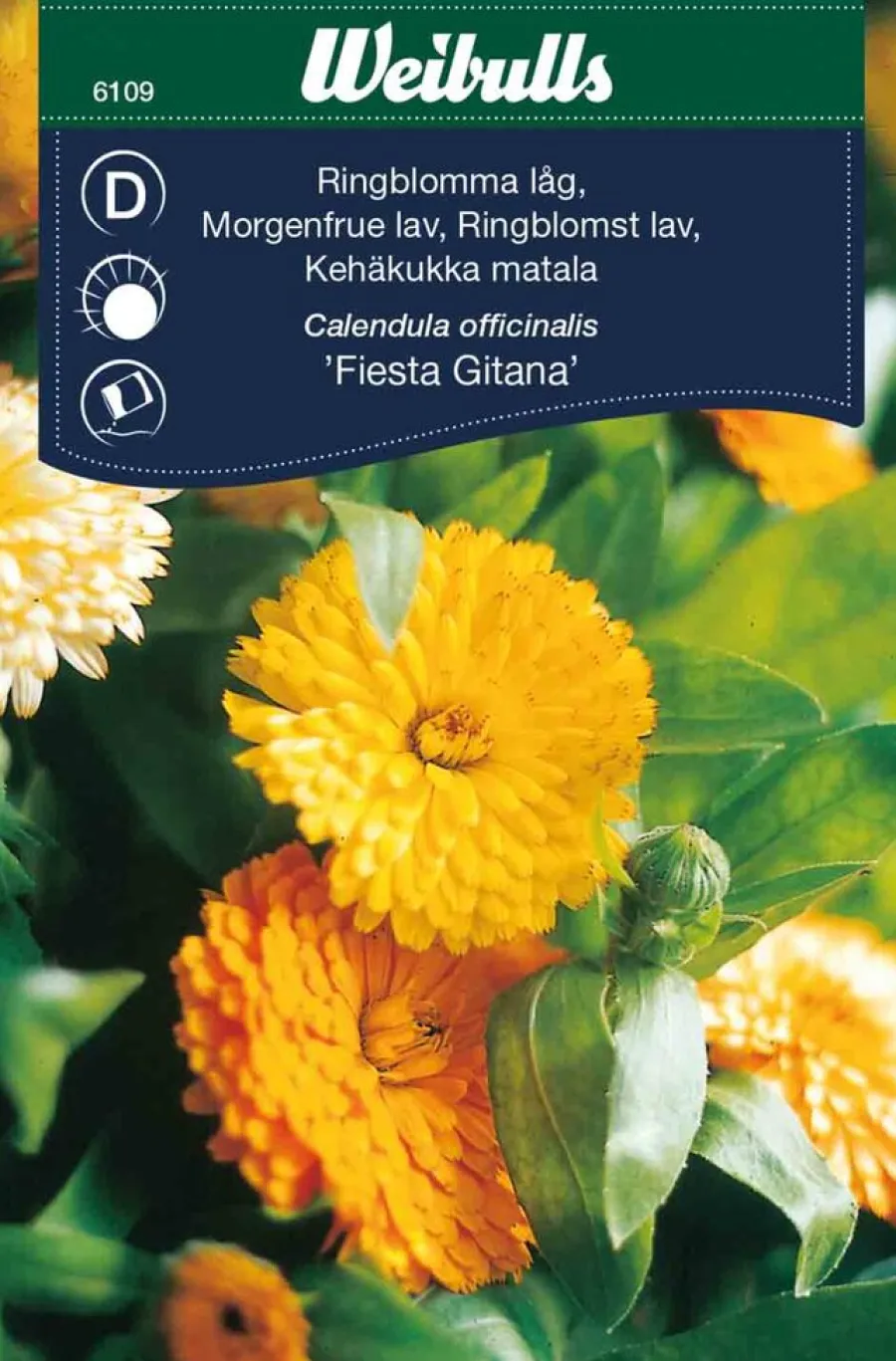 New Weibulls Ringblomst lav 'Fiesta Gitana' Oransjegul