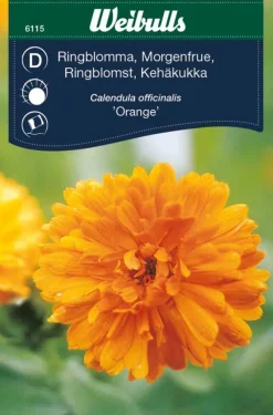 Sale Weibulls Ringblomst "Orange" Oransje